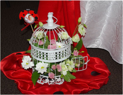 Flori delicate colivie