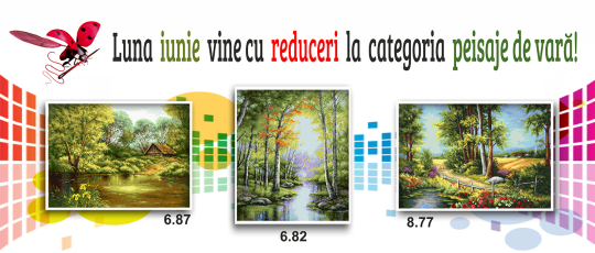 Reduceri