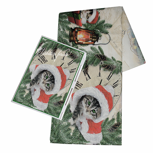 Fata de masa FMC16 M