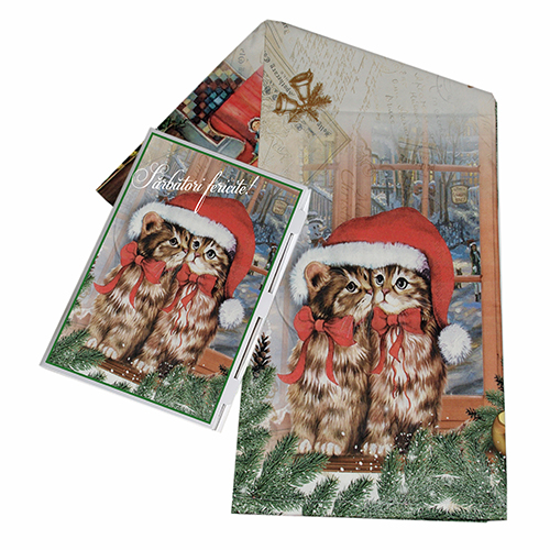 Fata de masa FMC17 M