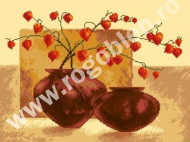 Веточки  Физалиса