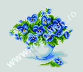 Fragilitate albastra