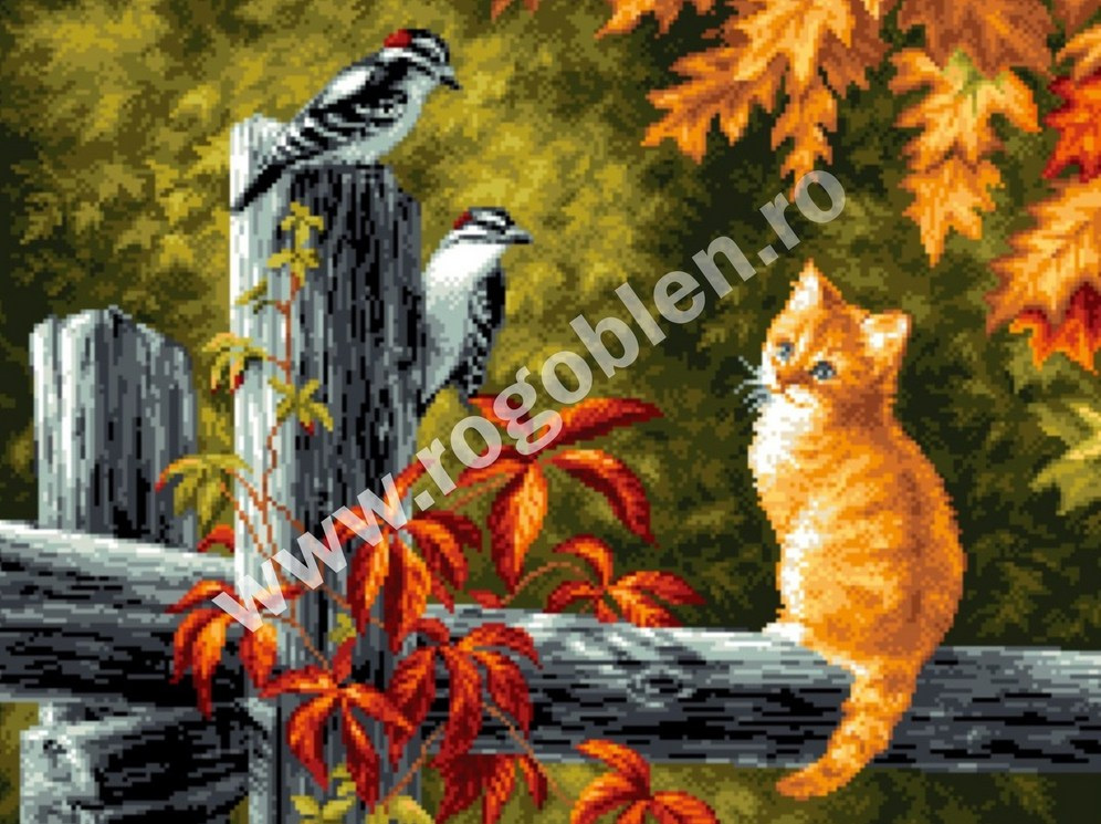 Motanel si ciocanitori