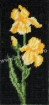 Goblen - Iris galben