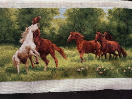 Goblen - Caii Liberi